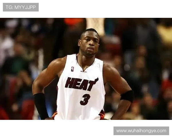 韦德谈夺冠心态：追逐荣誉的动力源于传奇球员的榜样